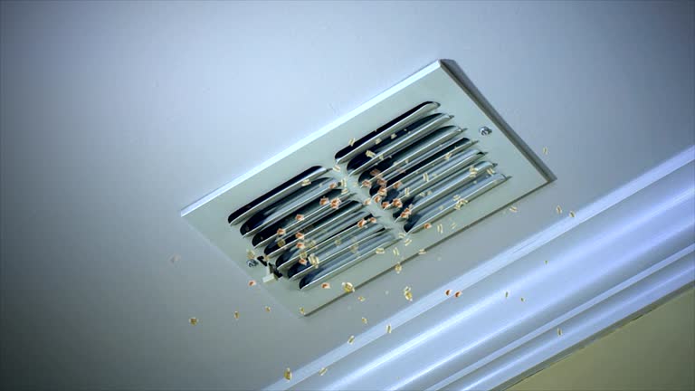 Best HVAC System Cleaning  in Sawgrass, FL